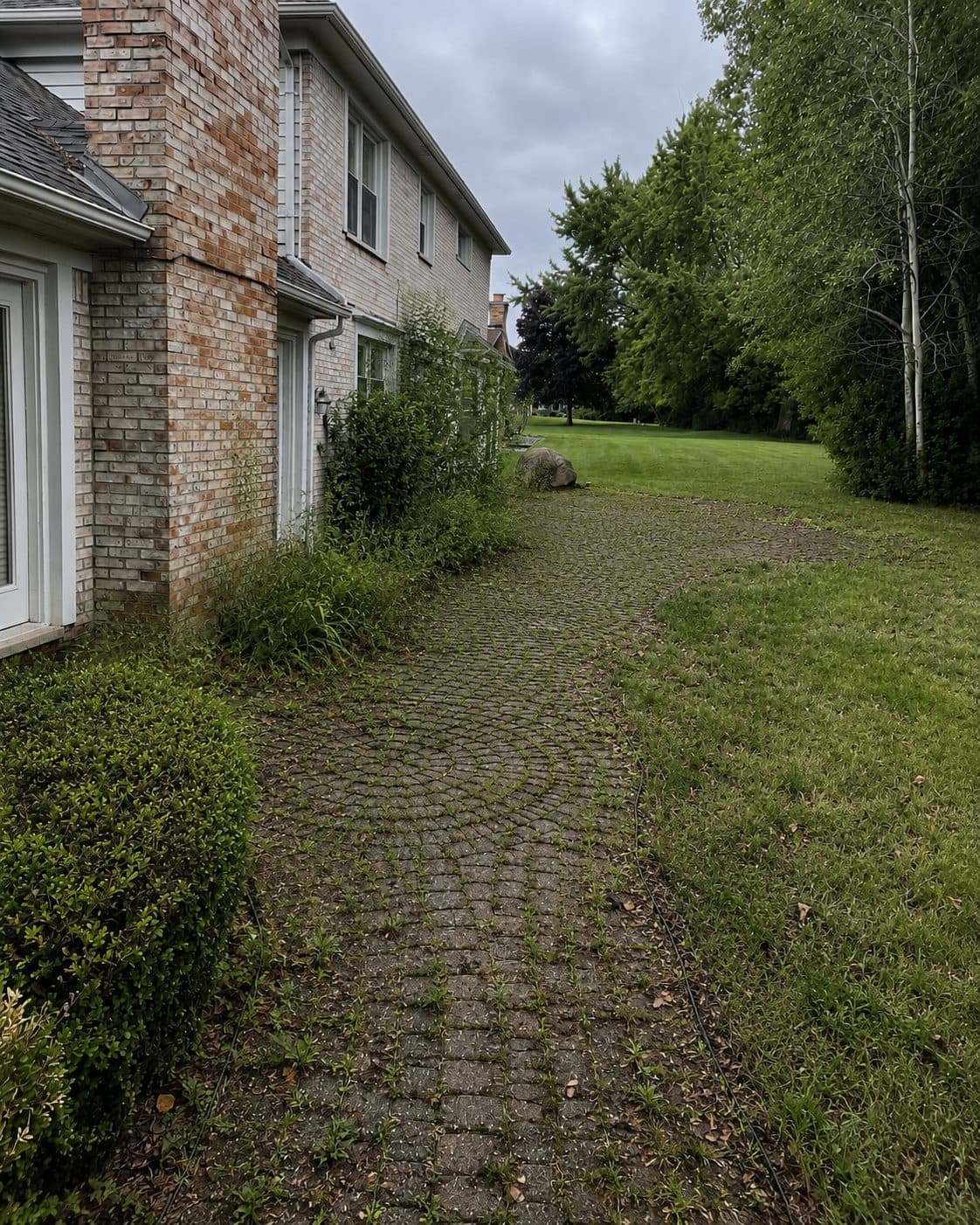 Overgrown cobblestone walkway before cleanup in Troy
